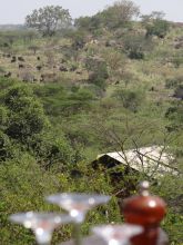 Serengeti Migration Camp, Serengeti National Park, Tanzania