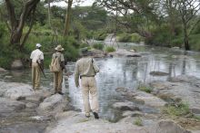 Serengeti Migration Camp, Serengeti National Park, Tanzania