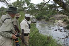 Serengeti Migration Camp, Serengeti National Park, Tanzania