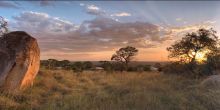 Mara Bushtops, Masai Mara Game Reserve, Kenya