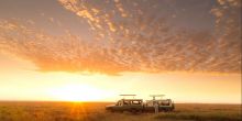 Serengeti Safari Camp South - Drive