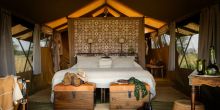 Serengeti Safari Camp Tented Room