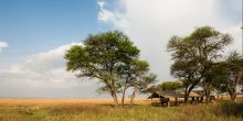 Serengeti Safari Camp South - View of Plains