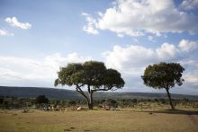 Bush lunch at Serian Camp, Masai Mara National Reserve, Kenya