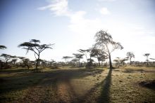 Serian Camp, Masai Mara National Reserve. Kenya