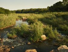 Singita Ebony Lodge, Sabi Sands Game Reserve, South Africa