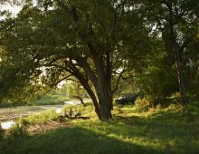 Singita Ebony Lodge, Sabi Sands Game Reserve, South Africa