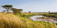 Singita Mara River Tented Camp