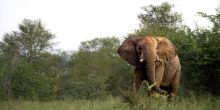 Singita Pamushana, Malilangwe Private Game Reserve, Zimbabwe