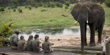 Somalisa Camp, Hwange National Park, Zimbabwe