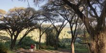 Sanctuary Ngorongoro Crater Camp