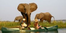 Elephants canoeing