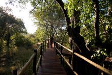 Sussi Lodge and Chuma House, Livingstone, Zambia