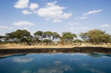 Swala Camp, Tarangire National Park, Tanzania