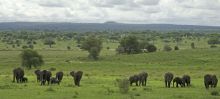 Swala Camp, Tarangire National Park, Tanzania