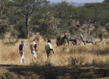 Swala Camp, Tarangire National Park, Tanzania