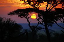 Swala Camp, Tarangire National Park, Tanzania