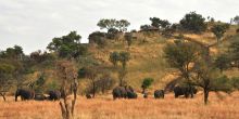 Grumeti Hills, Grumeti Game Reserve, Tanzania