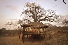 Tarangire Treetops, Tarangire National Park, Tanzania  Â© AndBeyond