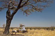 Tarangire Treetops, Tarangire National Park, Tanzania  Â© AndBeyond