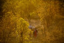 Tarangire Treetops, Tarangire National Park, Tanzania  Â© AndBeyond