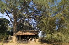 Tena Tena Camp, South Luangwa National Park, Zamiba