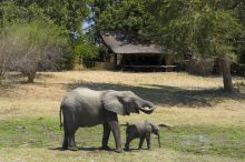 Tena Tena Camp, South Luangwa National Park, Zamiba