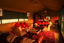 Lemala Ndutu - Tented Lounge