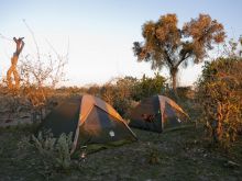 Tents at Selinda Canoe Trail, Linyati Wetlands, Botswana (Wilderness Safaris)