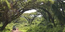 The Highlands - Ngorongoro Road