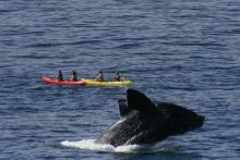 The Marine, Hermanus, South Africa