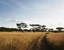 The plains at Faru Faru River Lodge, Grumeti Private Reserve, Tanzania