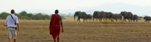 Tortilis Camp, Amboseli National Reserve, Kenya