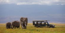 Tortilis Camp, Amboseli National Reserve, Kenya