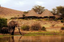 Tortilis Camp, Amboseli National Reserve, Kenya Â© Michael Poliza