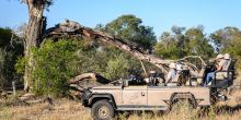 Little Tubu Tree Camp, Okavango Delta, Botswana