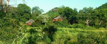 Ulusaba Safari Lodge, Sabi Sands Game Reserve, South Africa