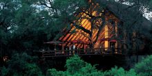 The veranda of the main lodge for watching the wildlife at Londolozi Varty Camp, Sabi Sands Game Reserve, South Africa