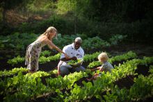 Vegetable garden- Tortilis Camp, Amboseli National Reserve, Kenya