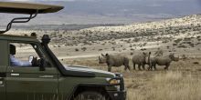 Lewa House, Lewa Conservancy, Kenya