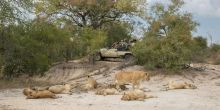 Arathusa Safari Lodge, Sabi Sands Game Reserve, South Africa