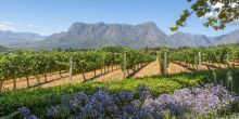 Winelands