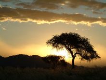 Wolwedans Dune Lodge, Sossusvlei, Namibia