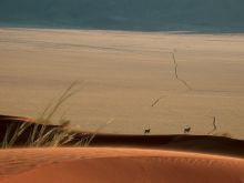 Wolwedans Dune Lodge, Sossusvlei, Namibia