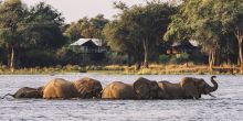 Anabezi Camp