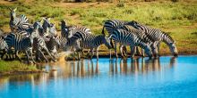 Ol Donyo Lodge, Chyulu Hills, Kenya